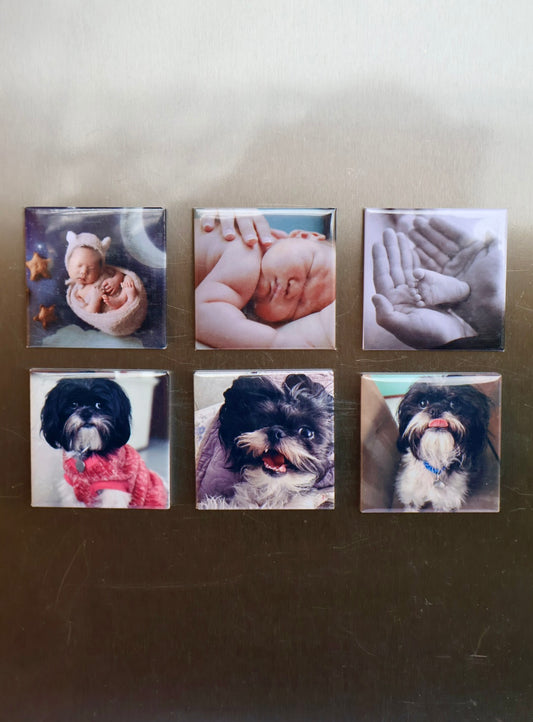 Paquete de 6 imanes personalizados